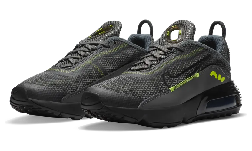 Nike Air Max 2090 Grijs (DB2615-001)