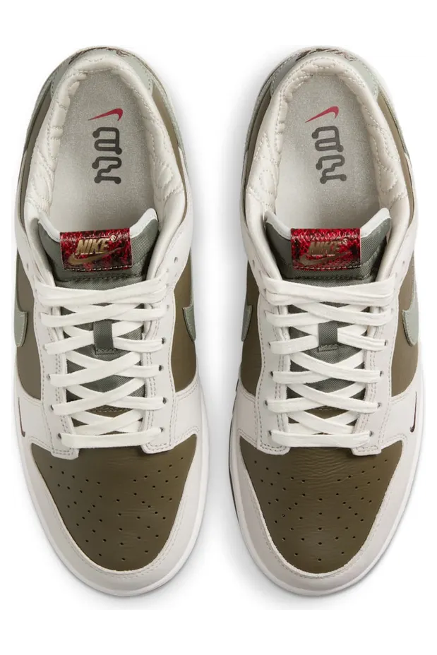 nike-dunk HV5980-231