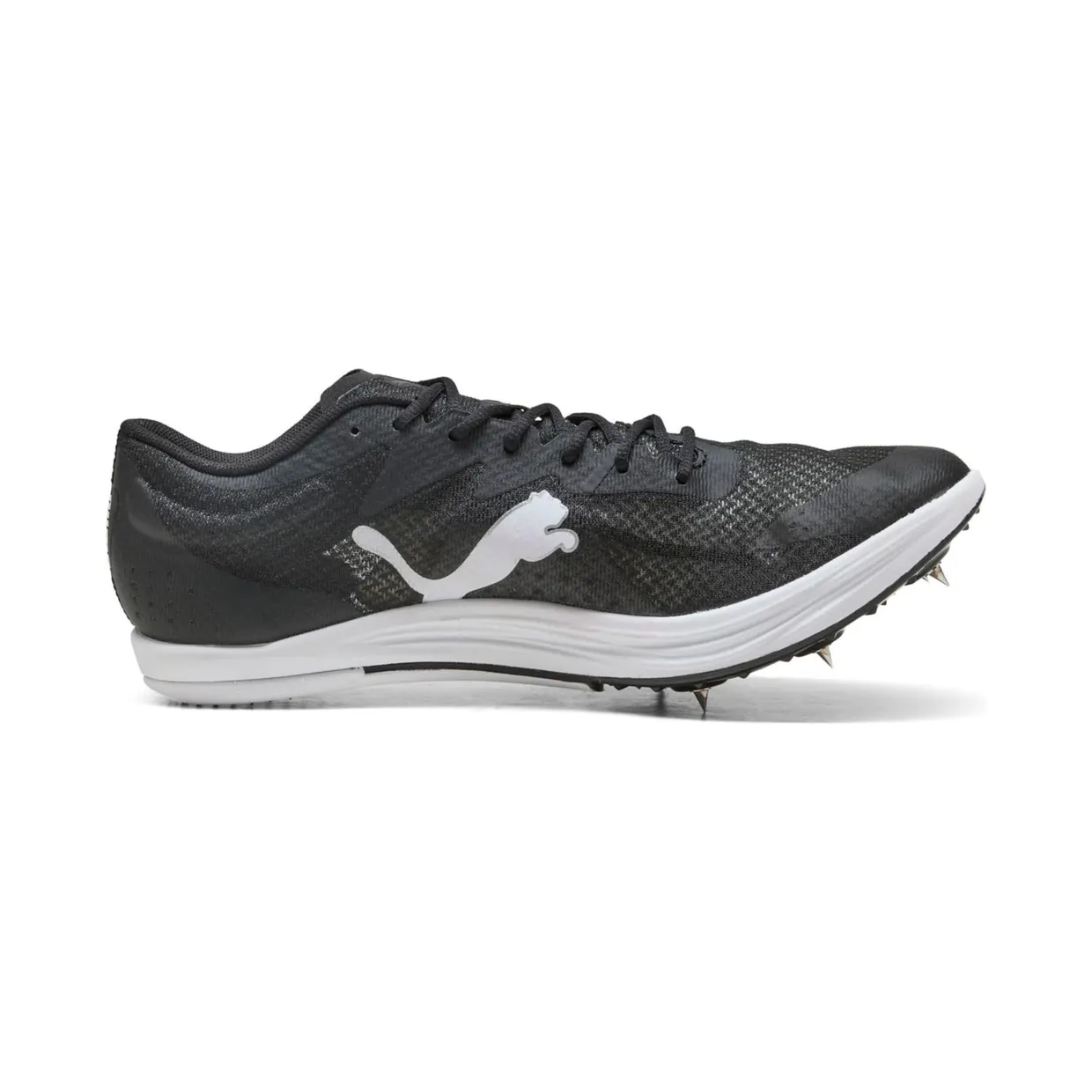 puma-evospeed 312857