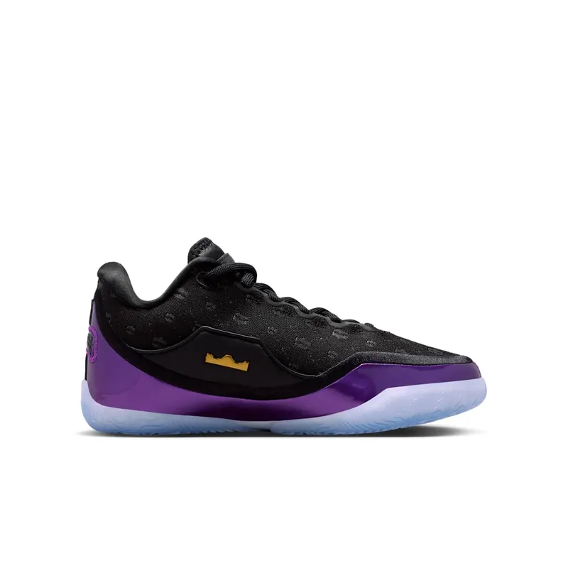 Nike LeBron 23 The Chosen One and The One Who Chose (IQ6709-001)