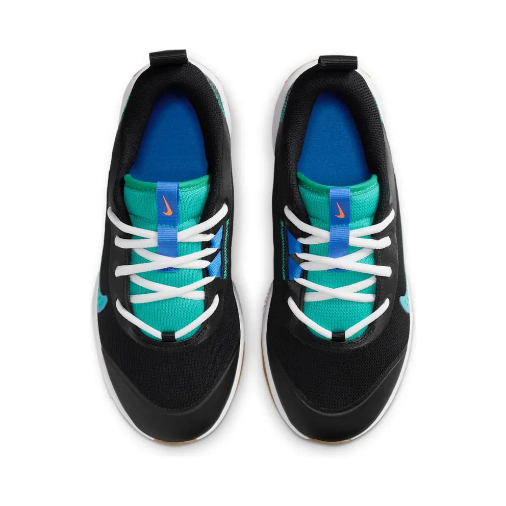 Nike Omni Multi-Court Black Blue Crystal Clear Emerald (DM9027-015)