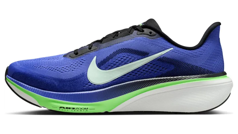 nike-air-pegasus IB1873-500