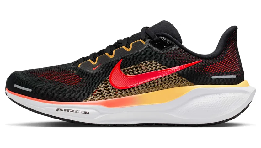 nike-air-pegasus FD2722-016