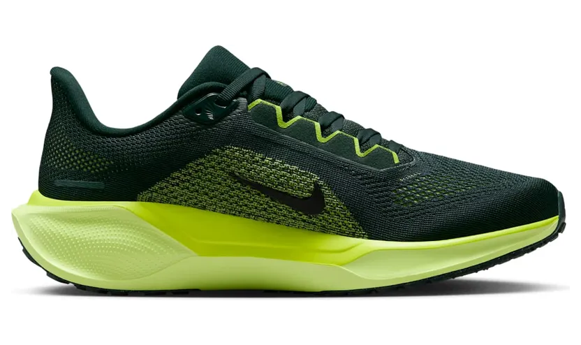 nike-air-pegasus FD2723-302