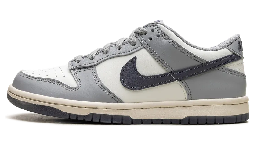 Nike Dunk Low SE Light Carbon Grey (GS) (FB9109-101)