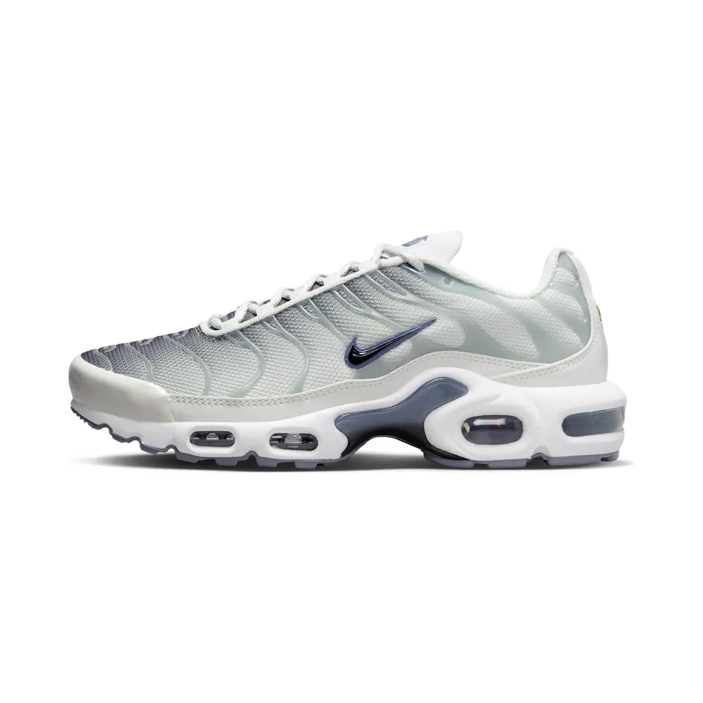 Nike Air Max Plus Smoke Grey Ashen Slate (FQ2892-100)