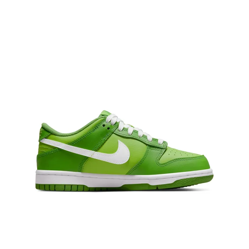 Nike Dunk Low Chlorophyll (DH9765-301)