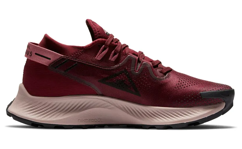 nike-air-pegasus CK4309-600
