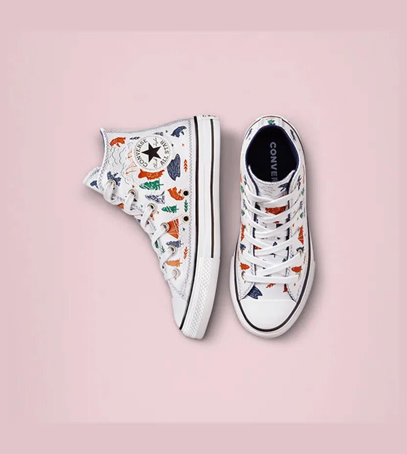 converse-chuck-taylor-all-star 672439C