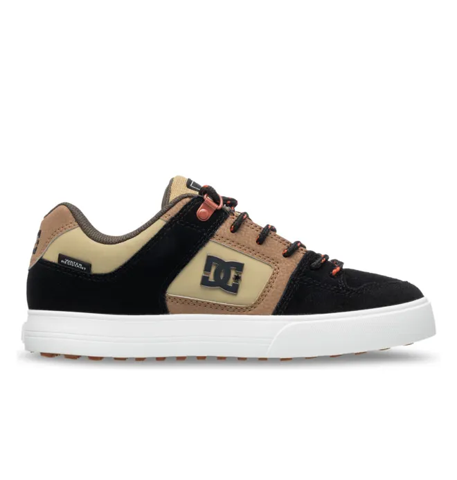 DC Pure Wnt “Brown” (ADYS300151XCCG)