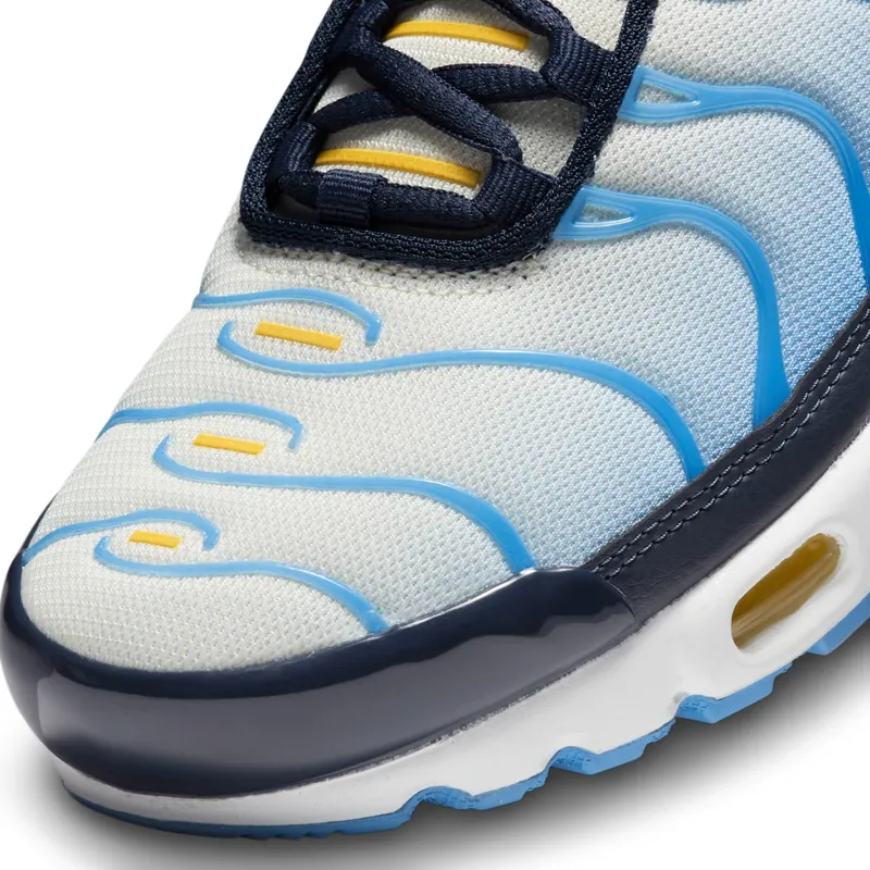 Nike Air Max Plus University Blue Topaz Gold (FD9871-400)