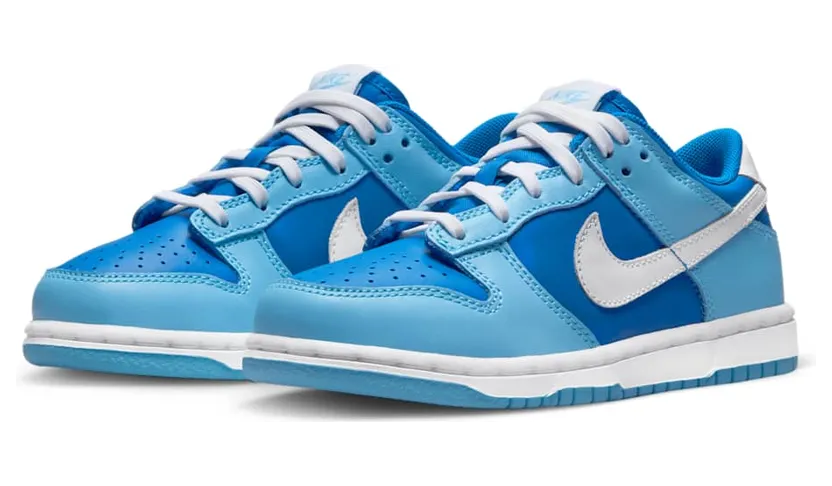 nike-dunk DV2635-400