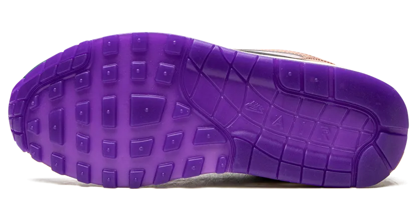 nike-air-max DV2301-501