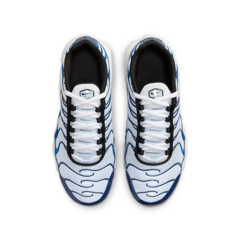 Nike Air Max Plus Thunder Blue Photo Blue (CD0609-409)