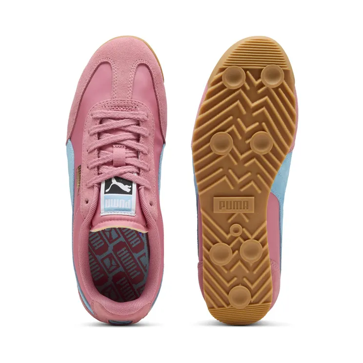 puma-arizona 398682_33