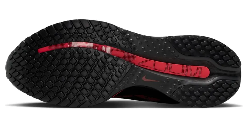 nike-air-pegasus HQ2593-010