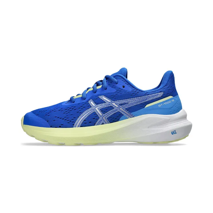asics-gt-1000 1014A343-404