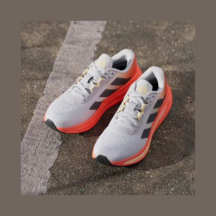 adidas-questar JQ4380