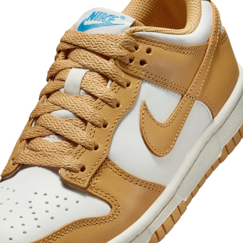 Nike Dunk Low GS “Honeycomb” (FB9109-700)