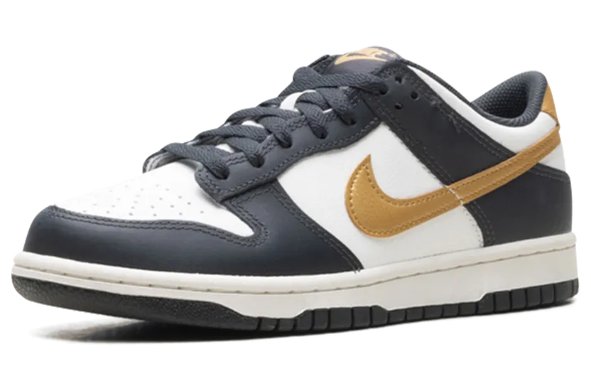 nike-dunk HV2533-100