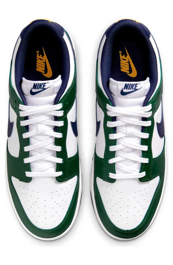 nike-dunk FV6911-300