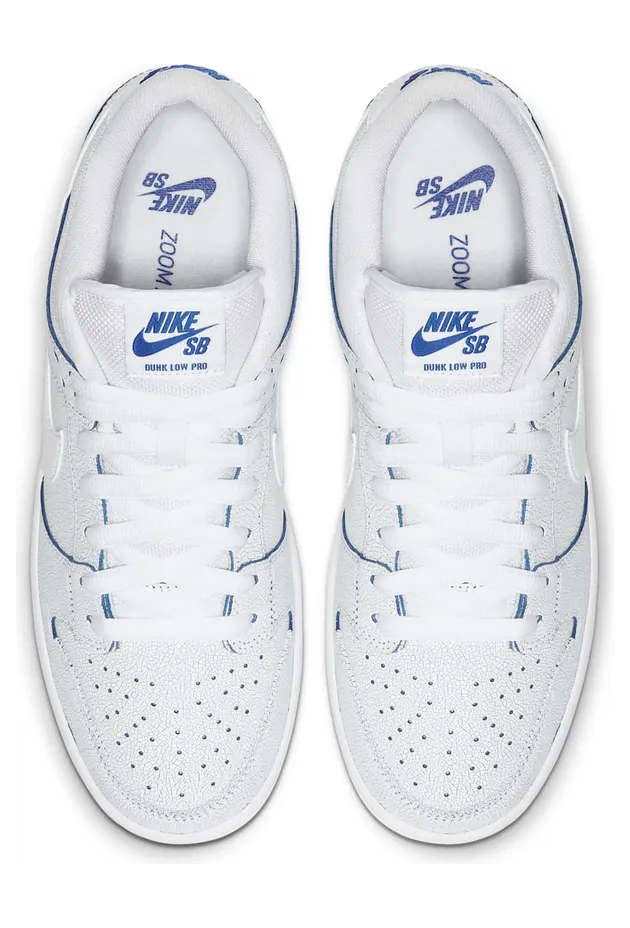 nike-dunk-sb CJ6884-100