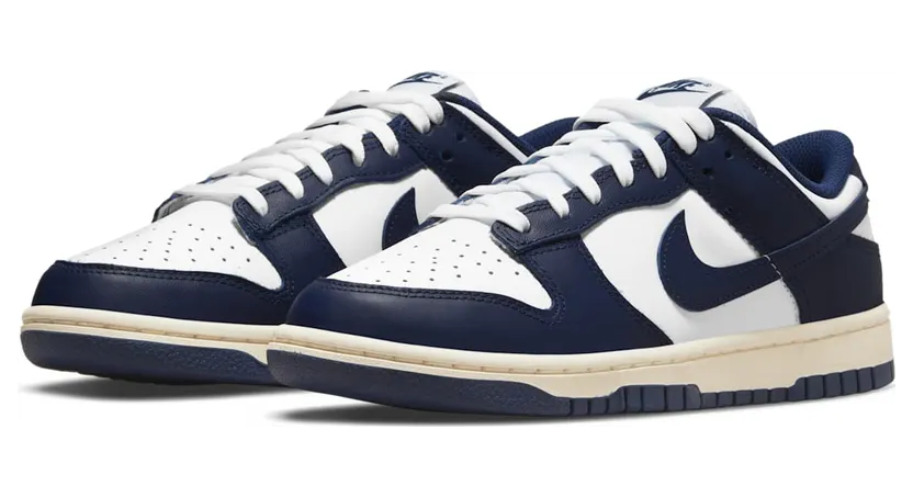 nike-dunk DD1503-115
