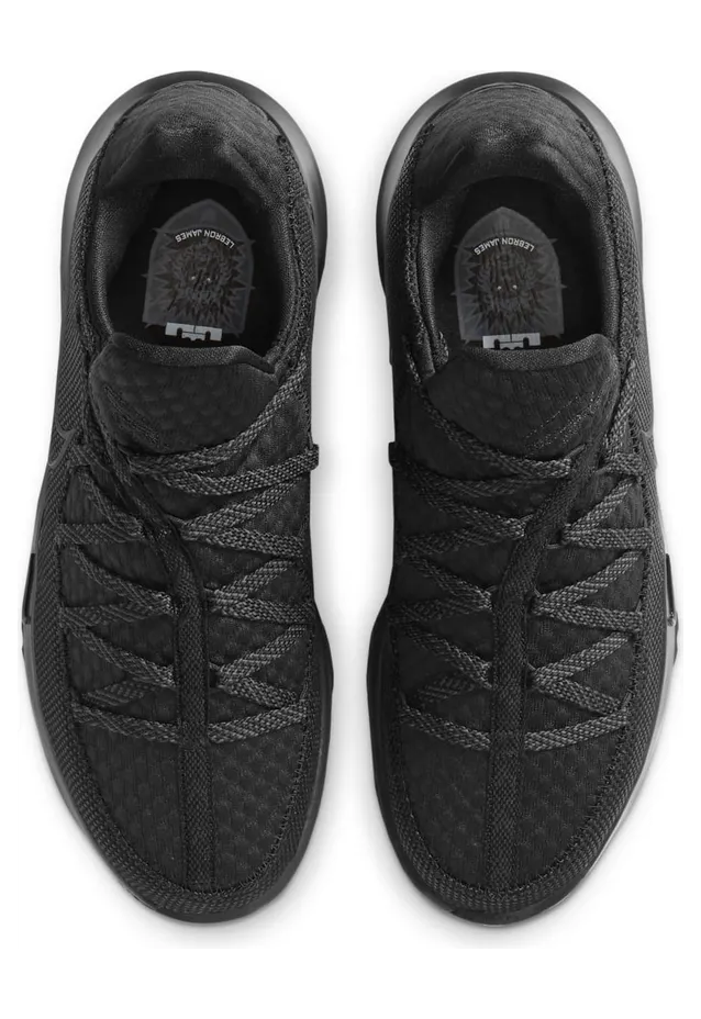nike-lebron-17 CD5007-003