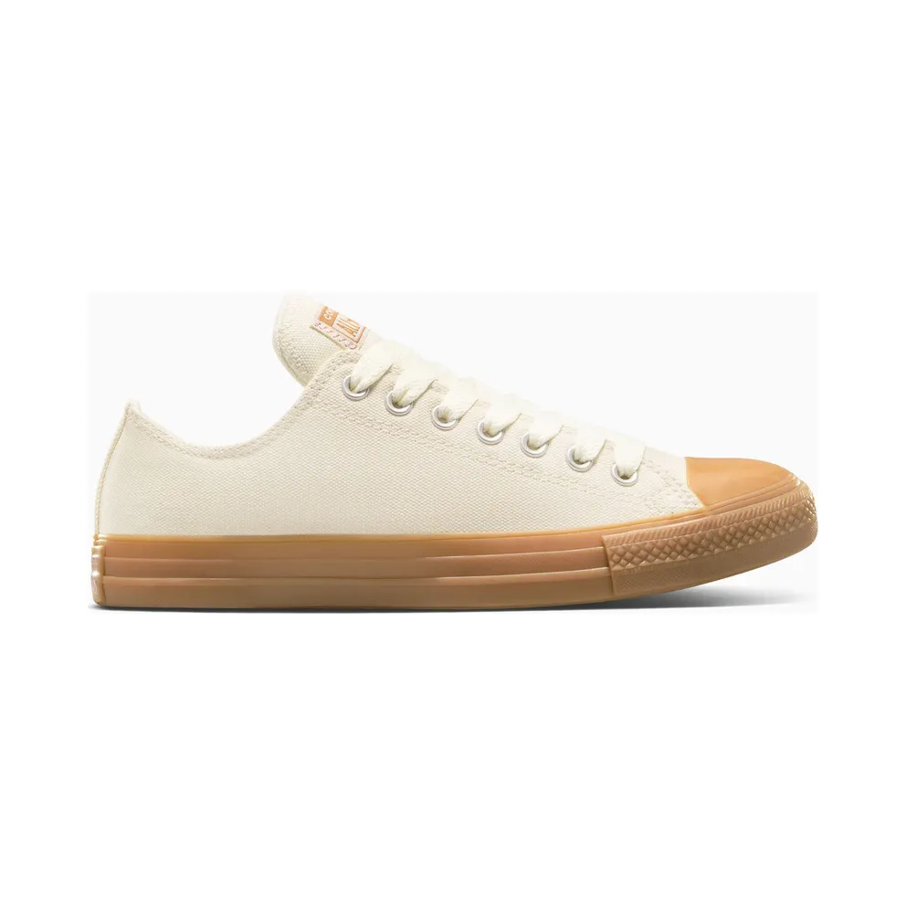 Converse Chuck Taylor All Star Heavy Canvas (A10512C)