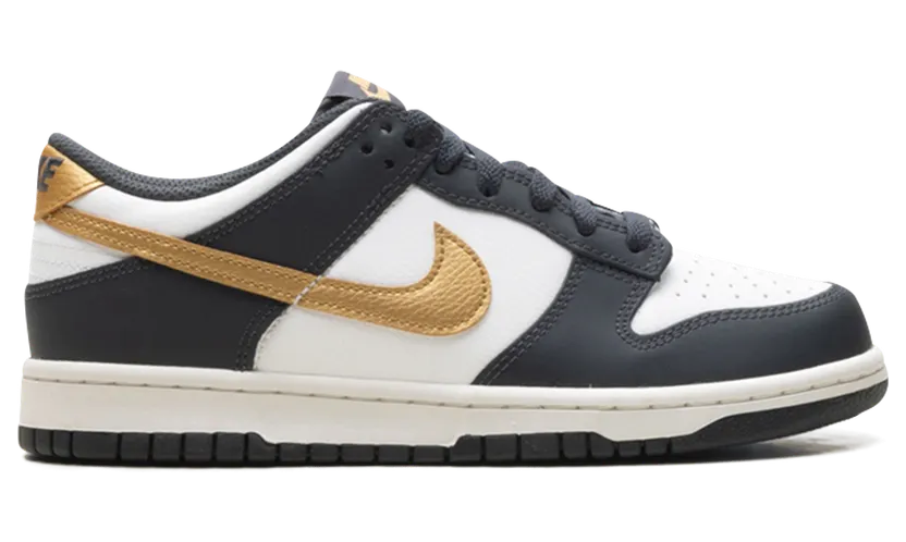 nike-dunk HV2533-100
