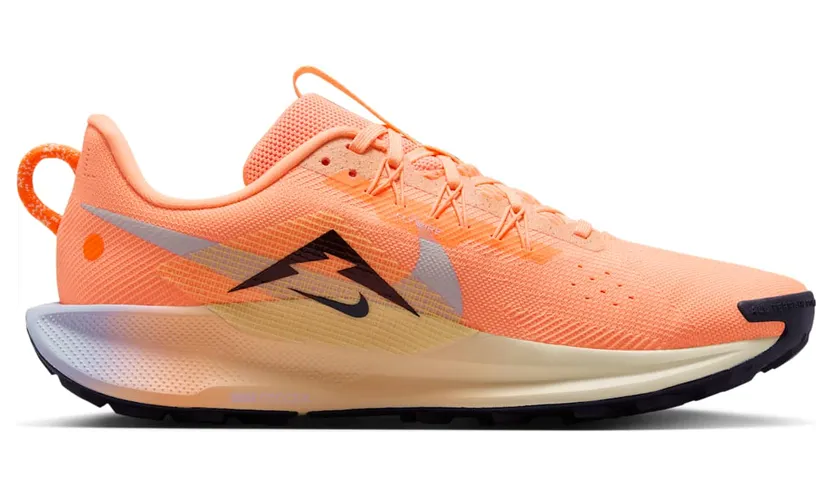 nike-air-pegasus DV3864-800