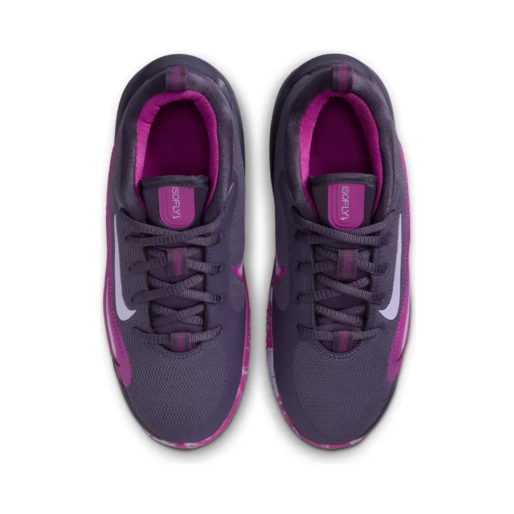 nike-isofly FN4384-500