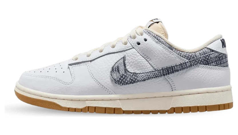 nike-dunk FN6881-100