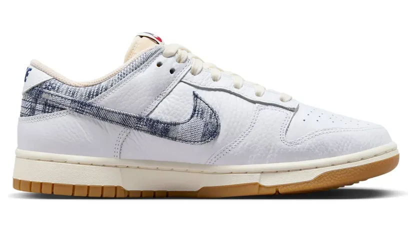 nike-dunk FN6881-100