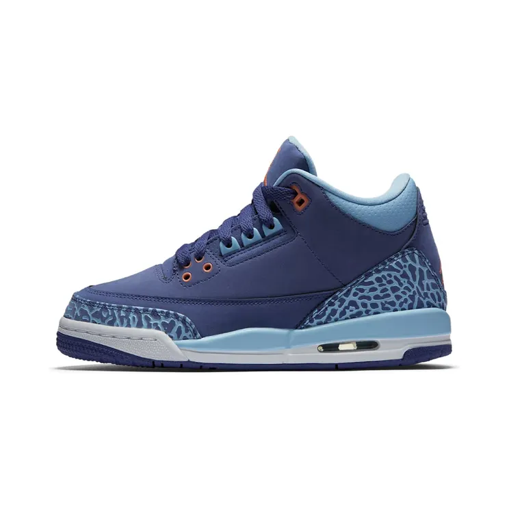 Air Jordan 3 Retro GG “Dark Purple Dust / Bluecap / White / Atomic Pink” (441140-506)
