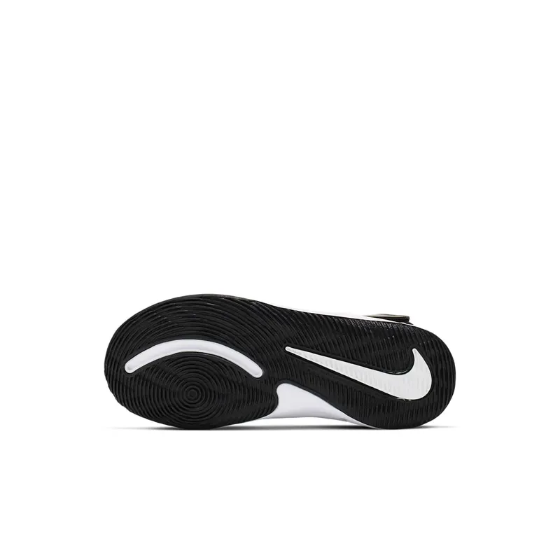 Nike Team Hustle D 9 Black Metallic Gold (PS) Black/White/Metallic Gold (AQ4225-004)