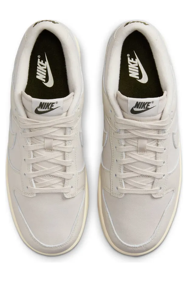 nike-dunk DZ2538-100