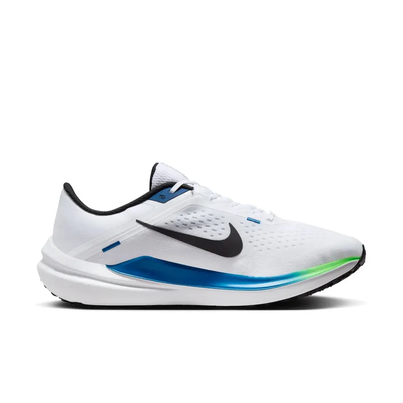Nike Winflo 10 White (DV4022-103)
