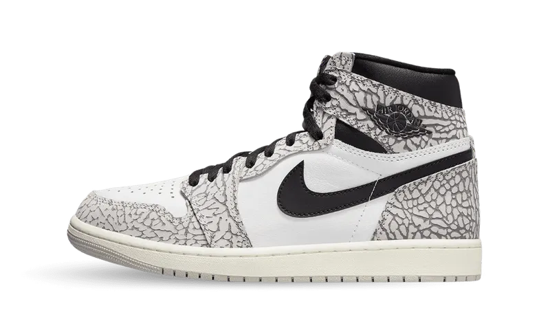 Nike Air Jordan 1 Retro High OG White Cement (DZ5485-052)