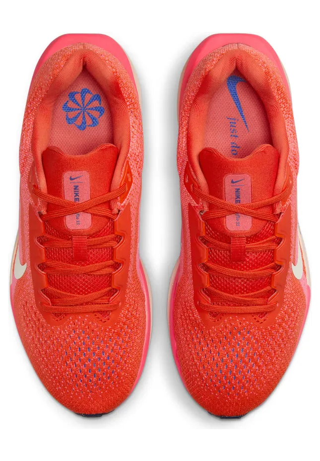 nike-winflo FJ9510-602