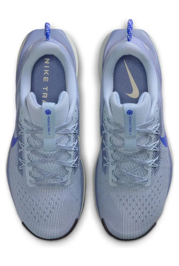 nike-air-pegasus DV3865-403