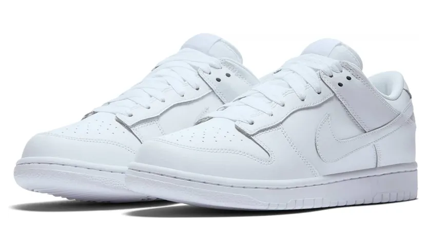 nike-dunk 904234-100