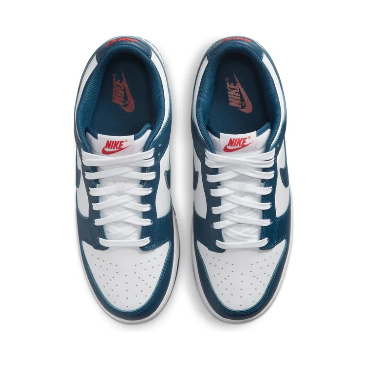 nike-dunk DD1391-400