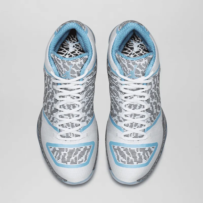 Jordan XX9 Pantone White/Silver-Pantone (717796-108)