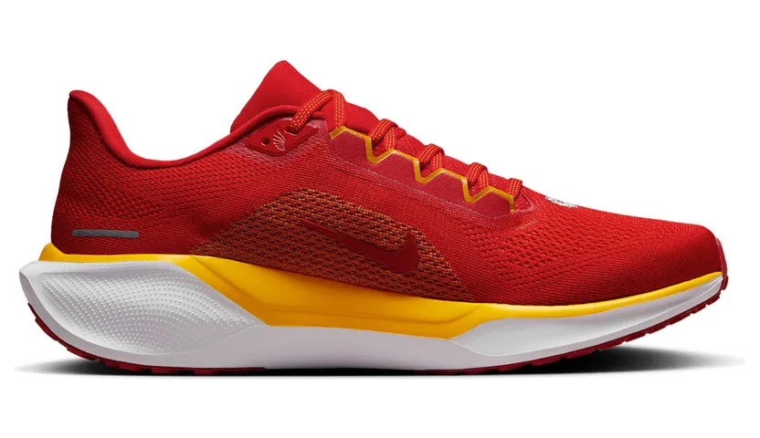 nike-air-zoom FZ5079-600