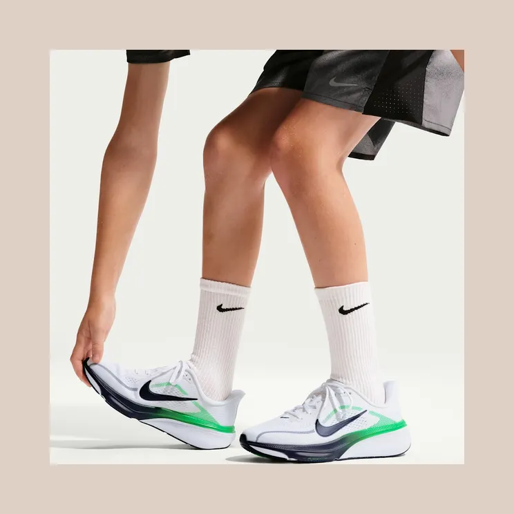 nike-air-pegasus IH2306-102