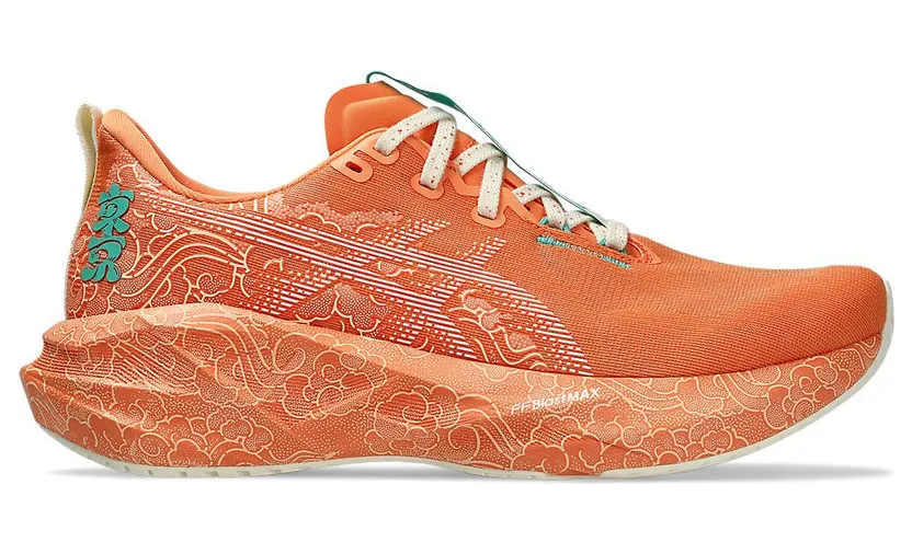 asics-novablast 1013A206-700