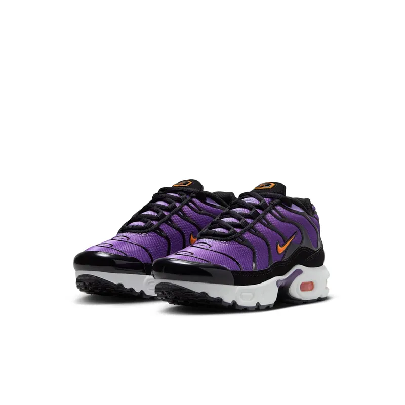 Nike Air Max Plus OG Voltage Purple (2024) (CD0610-024)