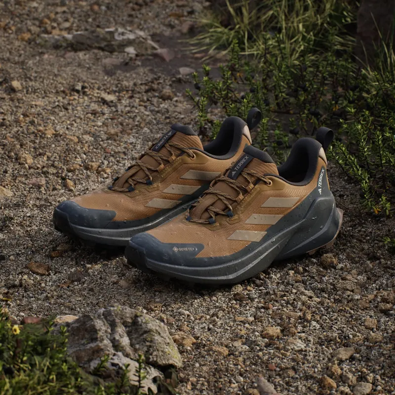 Adidas Terrex Trailmaker 2 GORE-TEX Hiking Bronze Strata / Blanch Cargo / Carbon (JQ9945)