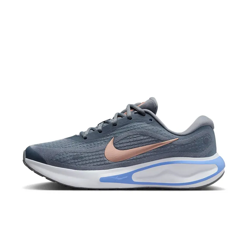Nike Journey Run Cool Grey White Royal Pulse Metallic Red Bronze (FJ7765-004)